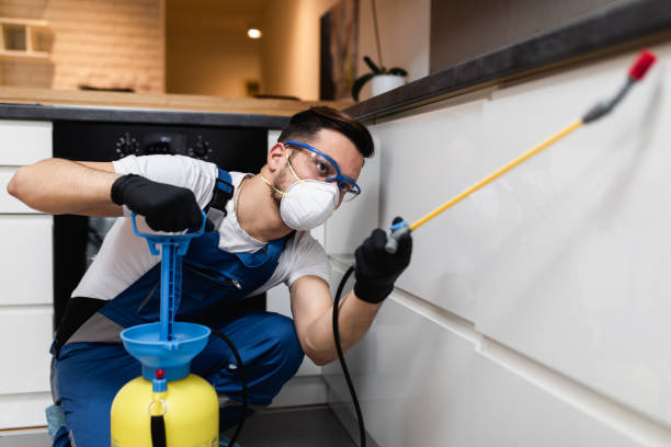 Best Commercial Pest Control Services  in Dublin, TX