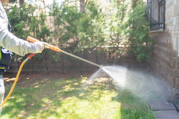 Best Termite Control Services  in Dublin, TX