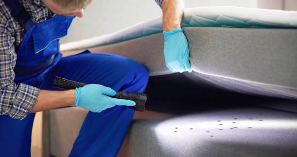 Best Emergency Pest Control  in Dublin, TX