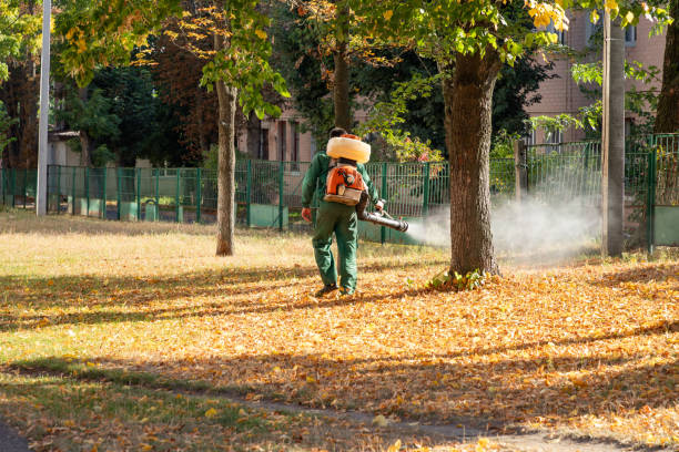 Best Wasp Removal Services  in Dublin, TX