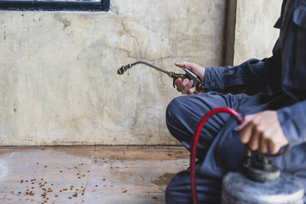 Best Local Pest Control Services  in Dublin, TX